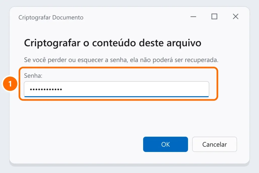 Janela Criptografar Documento do Word com o campo de senha destacado